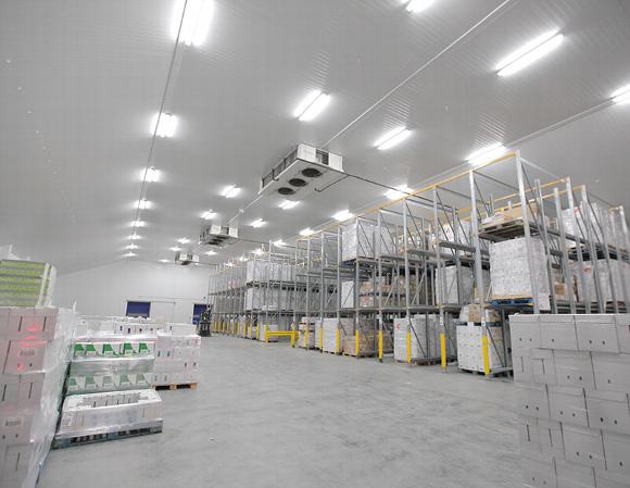 warehouse cold room