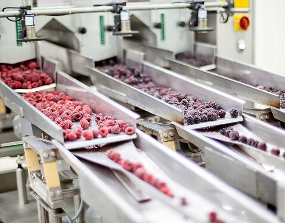 freezing systems in fruit